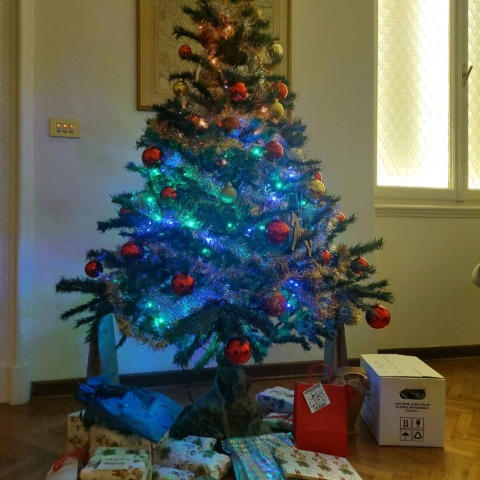 Residenza Rivalto - Trieste